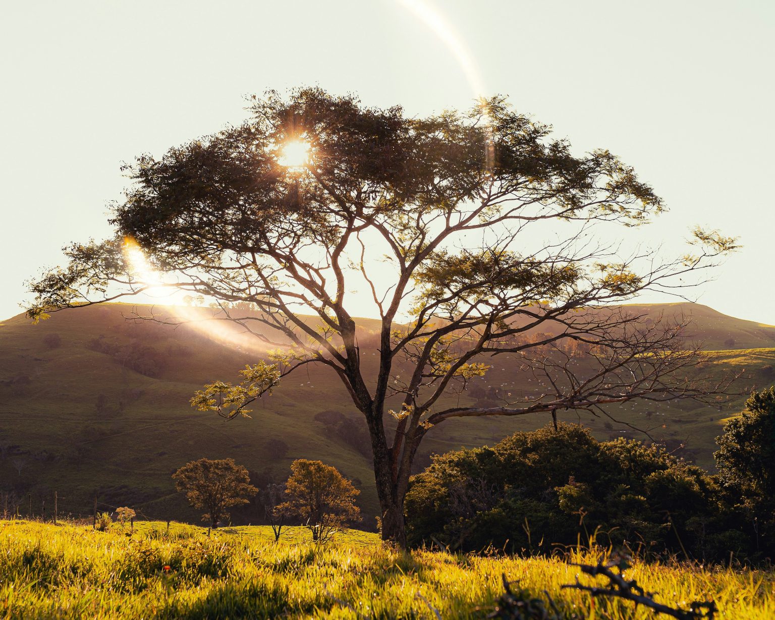 guilherme-stecanella-FpS9NlZFUtw-unsplash